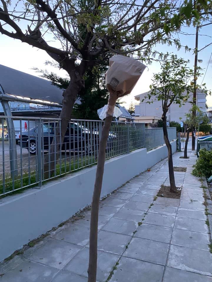 19042021 lemonies antineratzies nafplio 01