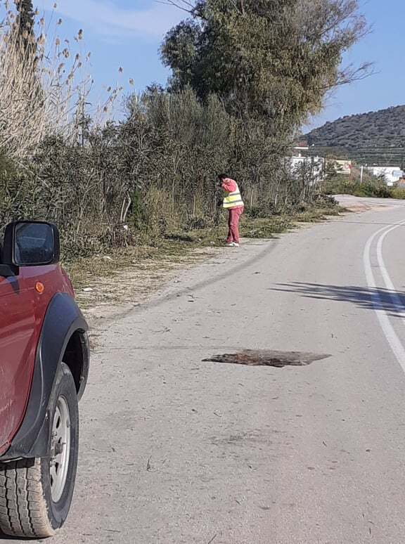 βιβαρι
