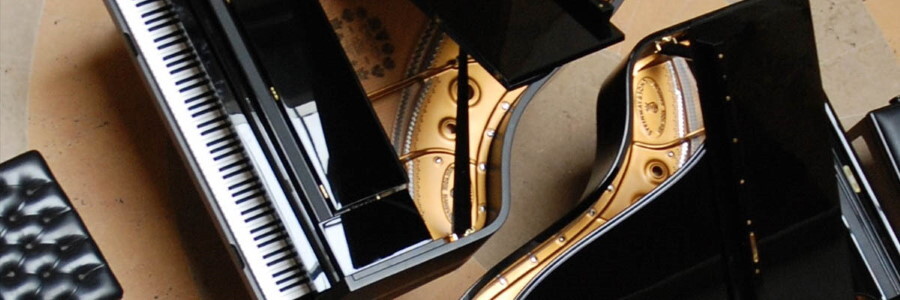 concert image 11 7 2022 900