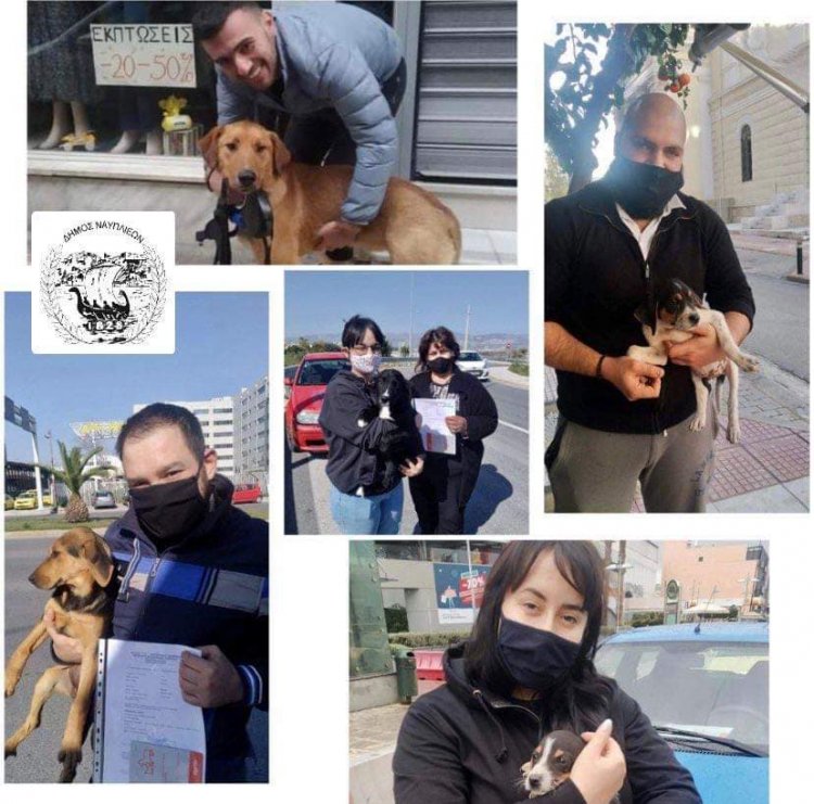4 Απριλίου - Παγκόσμια Ημέρα Αδέσποτων Ζώων