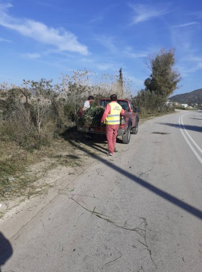 Εργασίες καθαριότητας και καλλωπισμού του δρόμου από Δρέπανο προς Βιβάρι