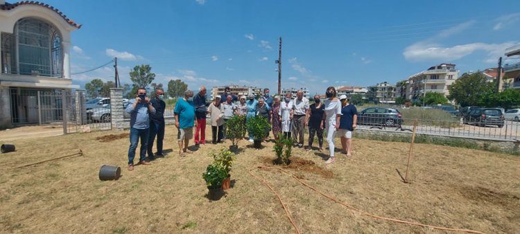 «Πράσινος Ιούνιος»: Μικροί και μεγάλοι εν δράσει [βίντεο]