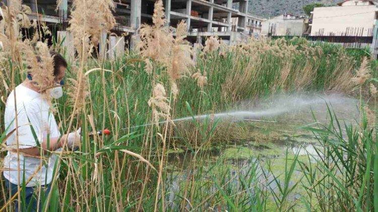 Αδιάκοπη η καταπολέμηση των κουνουπιών από τον Δήμο Ναυπλιέων