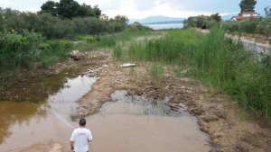 Συνεχίζεται σε όλη την έκταση του Δήμου Ναυπλιέων η καταπολέμηση των κουνουπιών